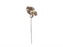 ANTHURIUM CM87 ORO