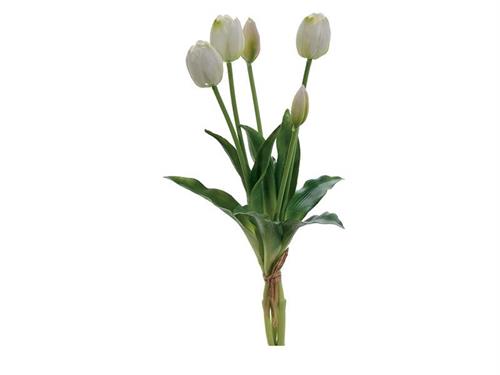 BUNDLE TULIPANI X5 CM40 REAL TOUCH  BIANCO