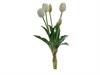 BUNDLE TULIPANI X5 CM40 REAL TOUCH  BIANCO