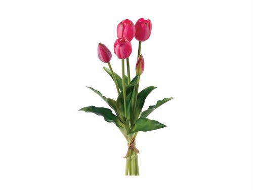 BUNDLE TULIPANI X5 CM40 REAL TOUCH  FUXIA