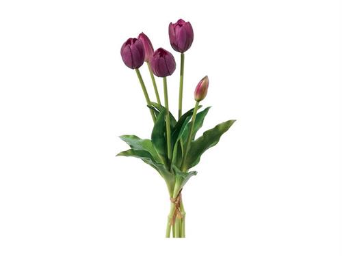 BUNDLE TULIPANI X5 CM40 REAL TOUCH PURPLE