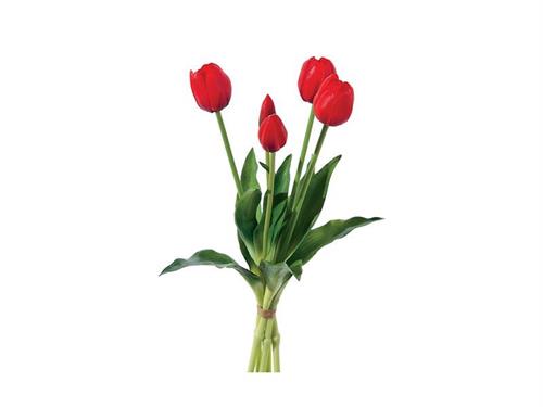 BUNDLE TULIPANI X5 CM40 REAL TOUCH  ROSSO