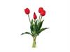 BUNDLE TULIPANI X5 CM40 REAL TOUCH  ROSSO