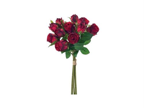 BUNDLEROSELLINE LINDA X6+6 CM35 ROSSO