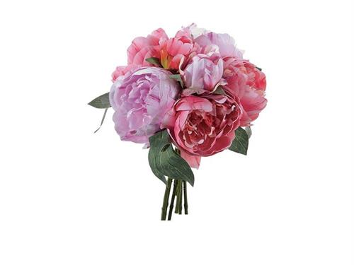 BUNDLE PEONIE LINDA X7 CM38 FUXIA
