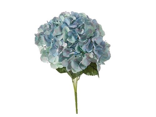 BUSH ORTENSIE CHANTAL X5 CM45 BLU