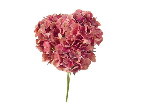 BUSH ORTENSIE CHANTAL X5 CM45 CERISE