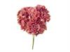 BUSH ORTENSIE CHANTAL X5 CM45 CERISE
