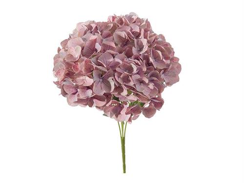 BUSH ORTENSIE CHANTAL X5 CM45 LILLA