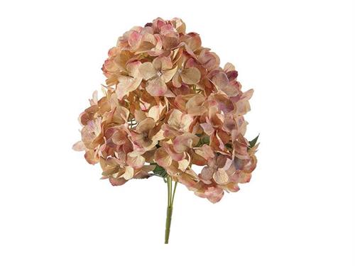 BUSH ORTENSIE CHANTAL X5 CM45 ROSA/GIALLO