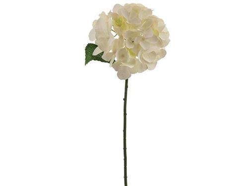 ORTENSIA CHANTAL X5 CM54 BIANCO