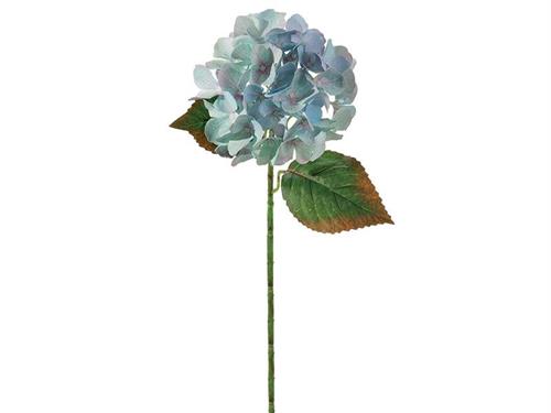 ORTENSIA CHANTAL X5 CM54 BLU