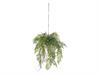 PENDENTE KOKEDAMA FELCE CUOIO CM101 VERDE