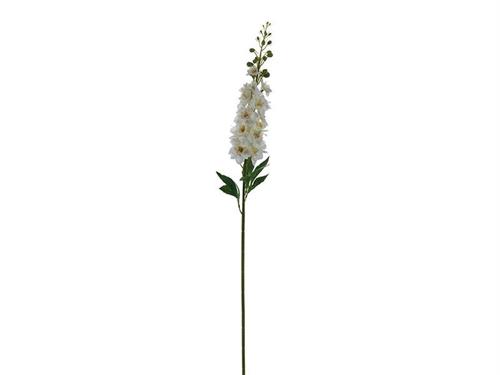 DELPHINIUM CM87 BIANCO