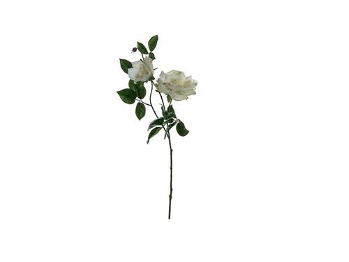 ROSA ELISABETH X3 CM82 BIANCO