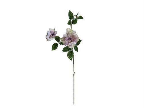 ROSA ELISABETH X3 CM82 LILLA/BIANCO