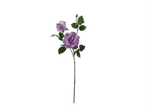 ROSA ELISABETH X3 CM82 LILLA