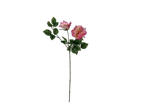 ROSA ELISABETH X3 CM82 ROSA