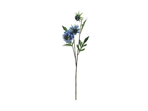 SCABIOSA CM65 BLU
