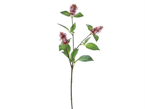 PATCHOULI CM74 ROSA