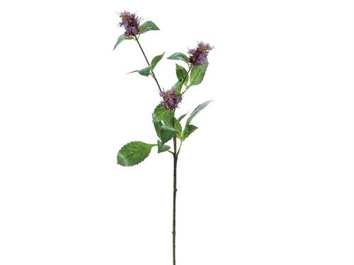 PATCHOULI CM74 VIOLA