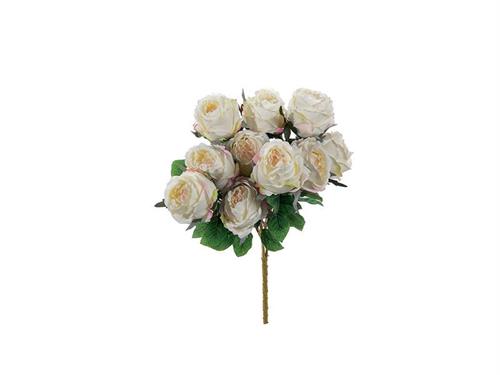 BUSH ROSE NANCY X10 CM50 BIANCO