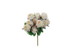 BUSH ROSE NANCY X10 CM50 BIANCO