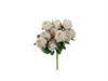 BUSH ROSE NANCY X10 CM50 BIANCO