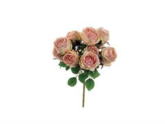 BUSH ROSE NANCY X10 CM50 ROSA