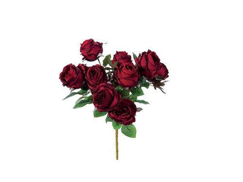 BUSH ROSE NANCY X10 CM50 ROSSO