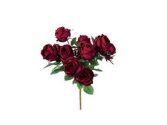 BUSH ROSE NANCY X10 CM50 ROSSO