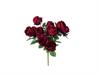 BUSH ROSE NANCY X10 CM50 ROSSO