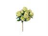 BUSH ROSE NANCY X10 CM50 VERDE