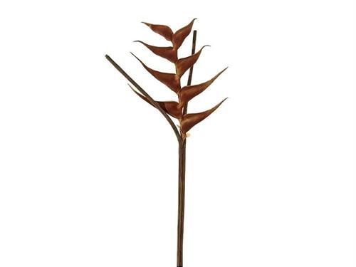 HELICONIA PU CM95 ARANCIO