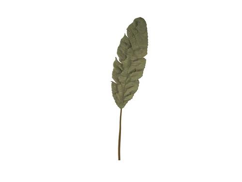FOGLIA BANANA PU CM140 VERDE