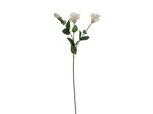 LISIANTHUS X3 REAL TOUCH CM72 BIANCO