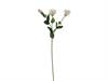 LISIANTHUS X3 REAL TOUCH CM72 BIANCO