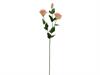 LISIANTHUS X3 REAL TOUCH CM72 SALMONE