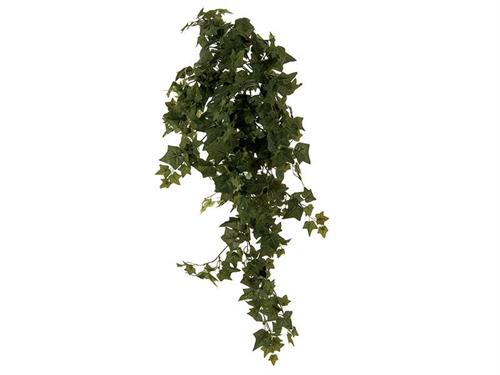 BUSH EDERA CM80 VERDE