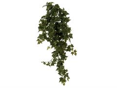 BUSH EDERA CM80 VERDE