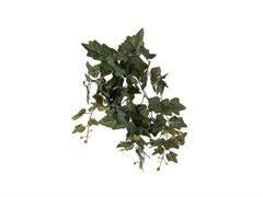 BUSH EDERA PENDENTE CM57 VERDE