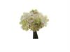 BUNDLE ROSE E ORTENSIE X11 CM20 BIANCO/VERDE