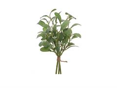 BUNDLE VISCHIO X3 CM35 VERDE