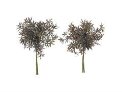BUNDLE EUCALYPTUS DOMENICHINA X3 CM40 VERDE-MARRONE ASS VERDE