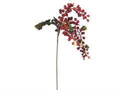 RAMO BACCHE C/FOGLIE CM55 ROSSO