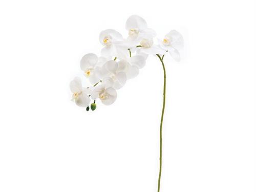 PHALAENOPSIS X9 REAL TOUCH CM90 BIANCO